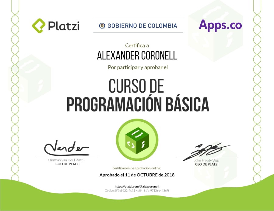 Basic Programming Course