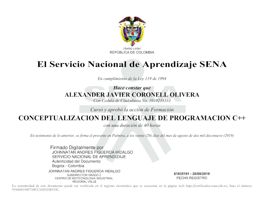 Conceptualization of the C++ Programming Language