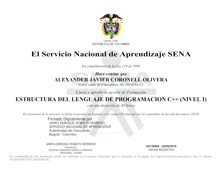 Structure of the C++ Programming Language (Level I)