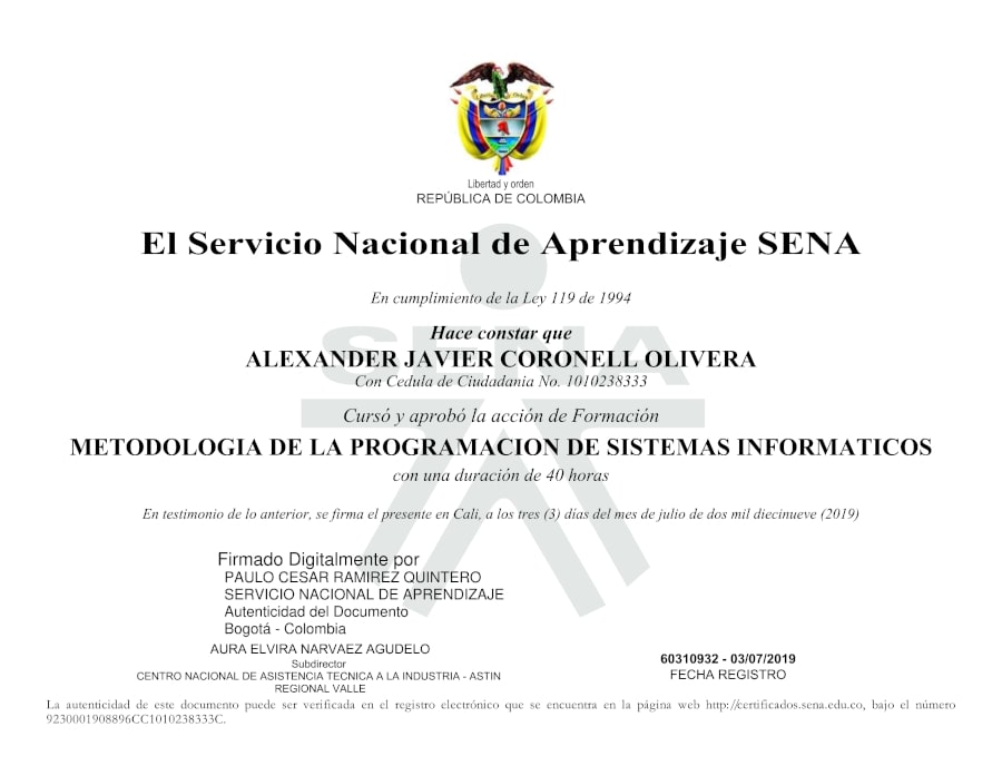 Computer Systems Programming Methodology