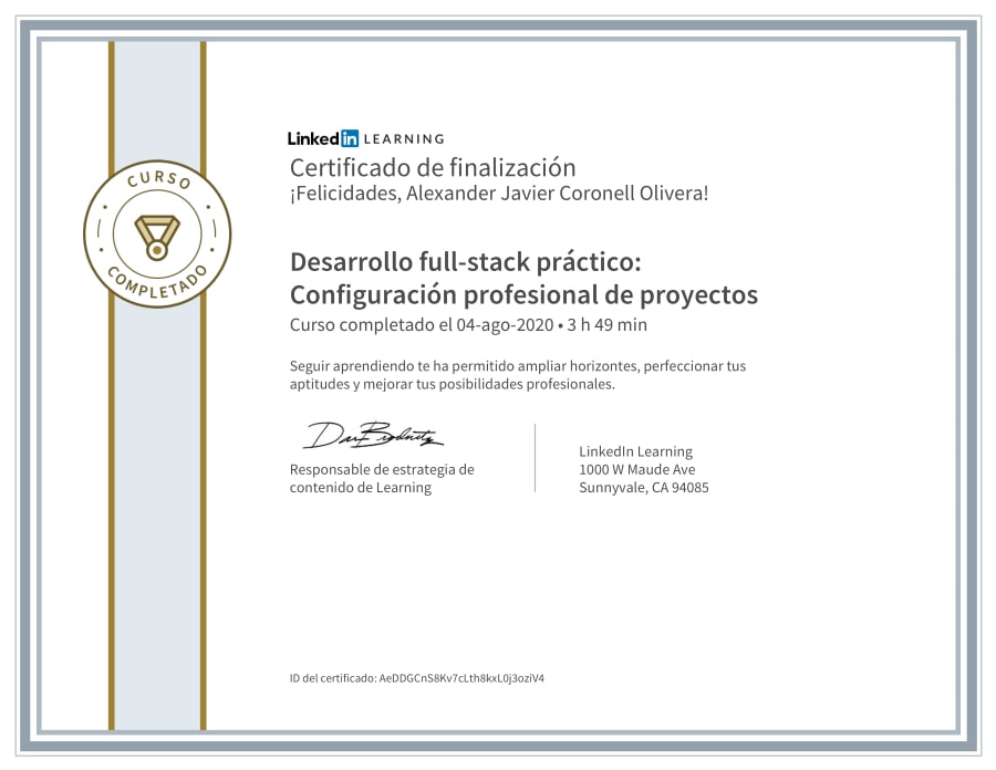 Practical Full-Stack Development: Professional Project Configuration
